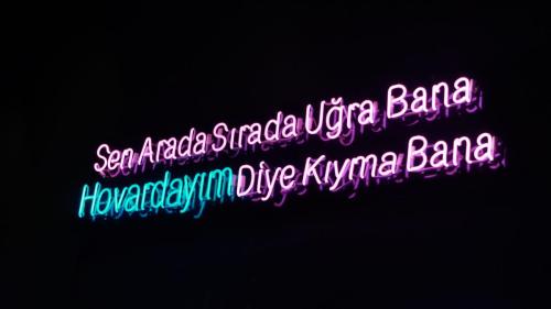 DSC09960